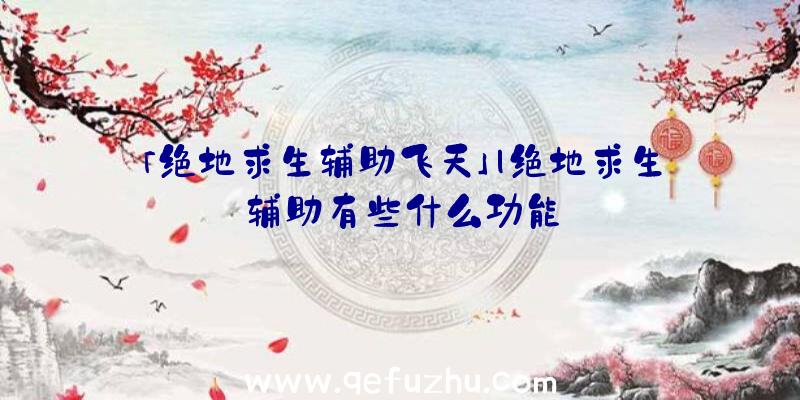 「绝地求生辅助飞天」|绝地求生辅助有些什么功能